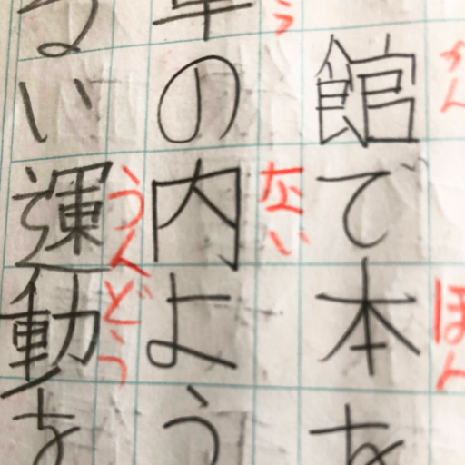 『見る力』視覚機能の問題