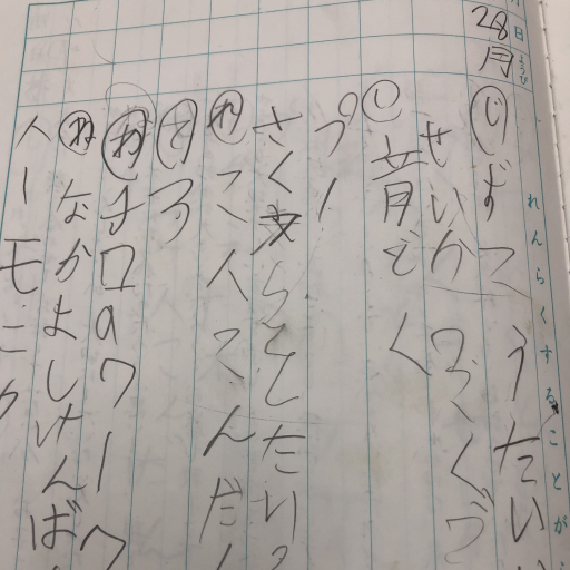 『見る力』視覚機能の問題